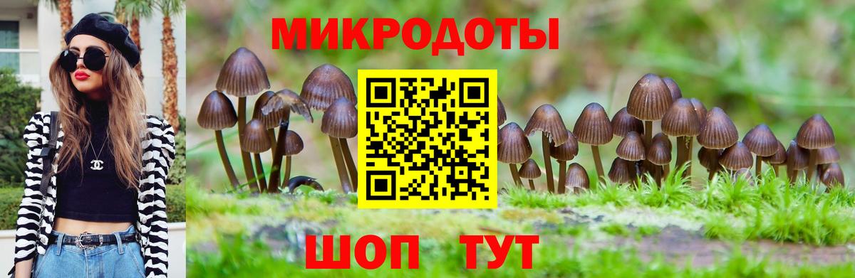 Псилоцибиновые грибы прущие грибы  Вход с VPN  Верхняя Салда 